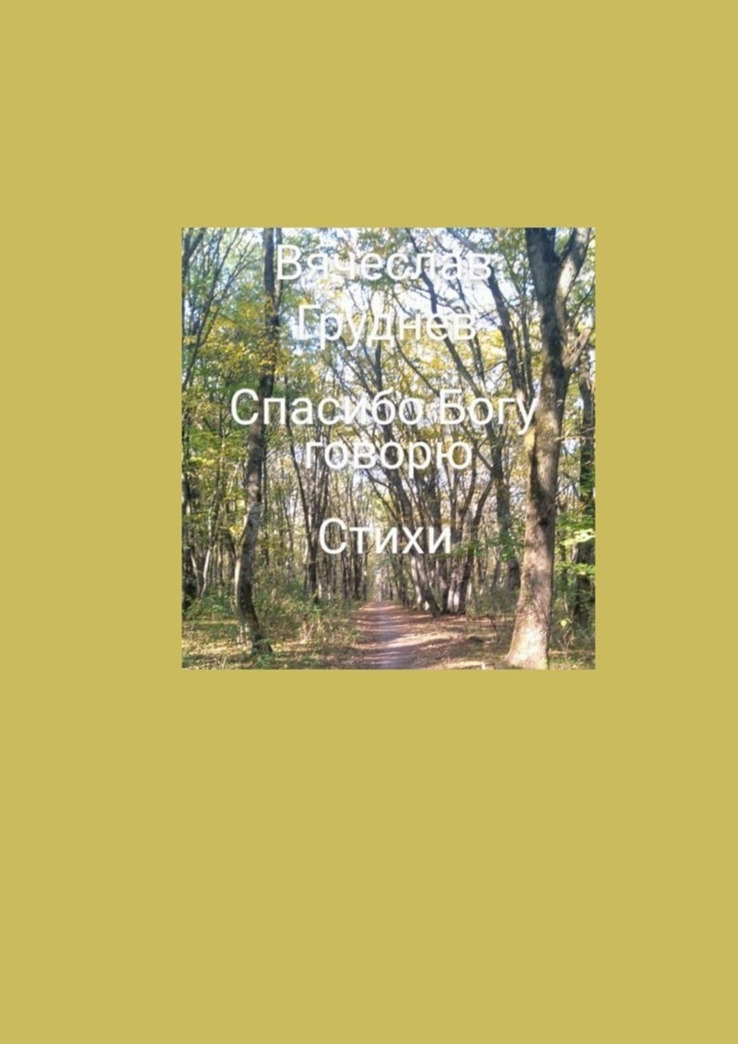 Книга Вячеслав Груднев «Спасибо» Богу говорю. Стихи