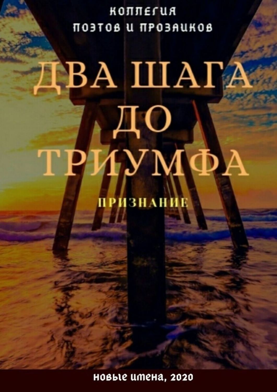 Книга Эльвира Шабаева Два шага до триумфа. Признание