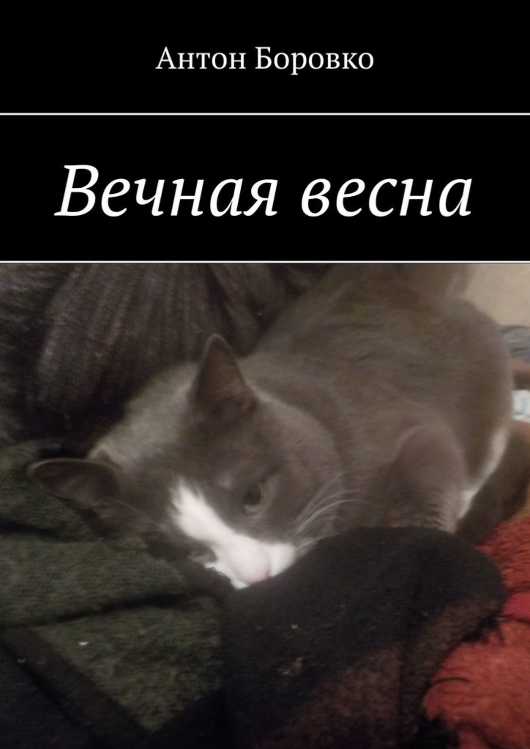 Книга Антон Боровко Вечная весна