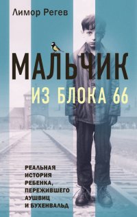 Книга Лимор Регев Мальчик из Блока 66. Реальная история ребенка, пережившего Аушвиц и Бухенвальд