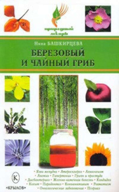 Книга Нина Башкирцева, Нина Анатольевна Башкирцева Березовый и чайный гриб