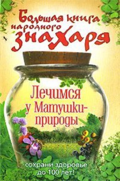 Книга Андрей Моховой Большая книга народного знахаря. Лечимся у Матушки-природы