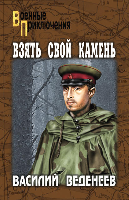 Книга Василий Владимирович Веденеев, Василий Веденеев Взять свой камень