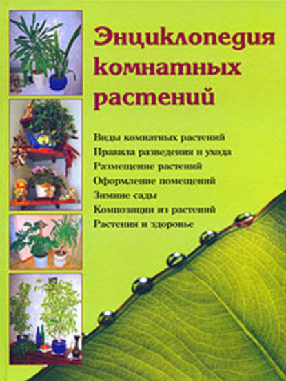 Книга Наталья Шешко, Наталья Брониславовна Шешко, Наталья Ивановна Логачева Энциклопедия комнатных растений