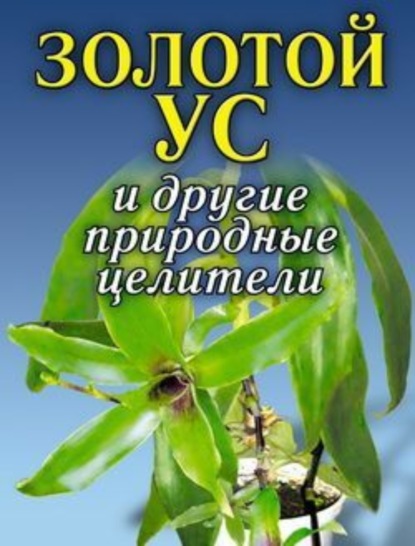 Книга Алексей Владимирович Иванов Золотой ус и другие природные целители