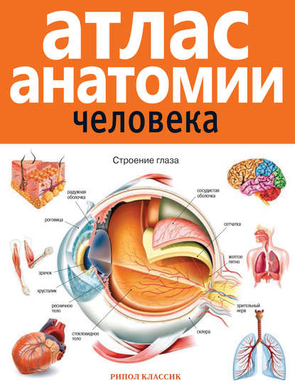Книга В. Б. Марысаев Атлас анатомии человека