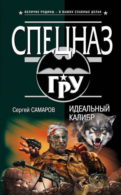 Книга Сергей Васильевич Самаров, Сергей Самаров Идеальный калибр