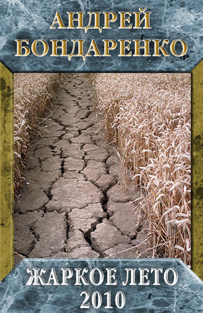 Книга Андрей Бондаренко Жаркое лето – 2010
