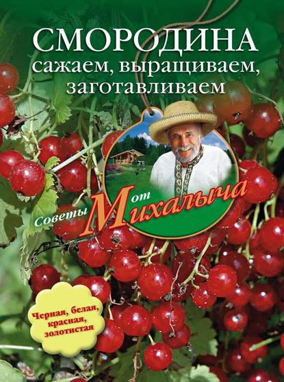 Книга Николай Звонарев, Николай Михайлович Звонарев Смородина. Сажаем, выращиваем, заготавливаем