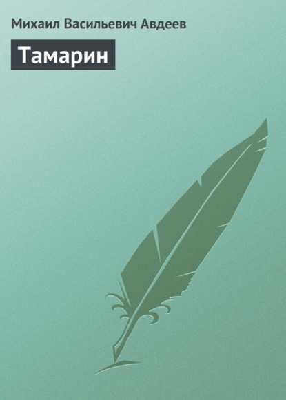 Книга Михаил Васильевич Авдеев Тамарин