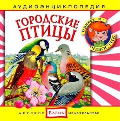 Книга , Детское издательство Елена Городские птицы