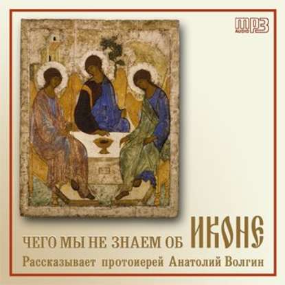 Книга Протоиерей Анатолий Волгин Чего мы не знаем об иконе