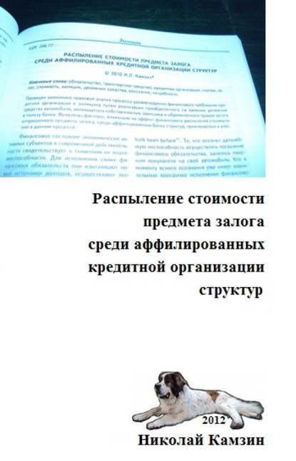 Книга Николай Камзин Распыление стоимости предмета залога среди аффилированных кредитной организации структур