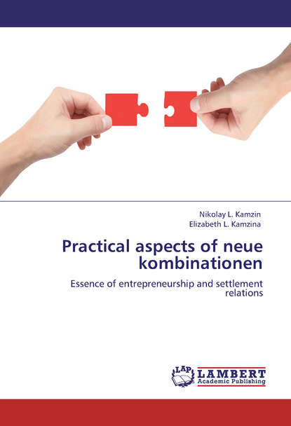 Книга Николай Камзин, Елизавета Камзина Practical aspects of neue kombinationen. Essence of entrepreneurship and settlement relations