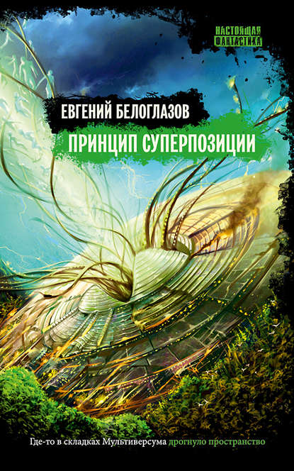 Книга Евгений Белоглазов Принцип суперпозиции
