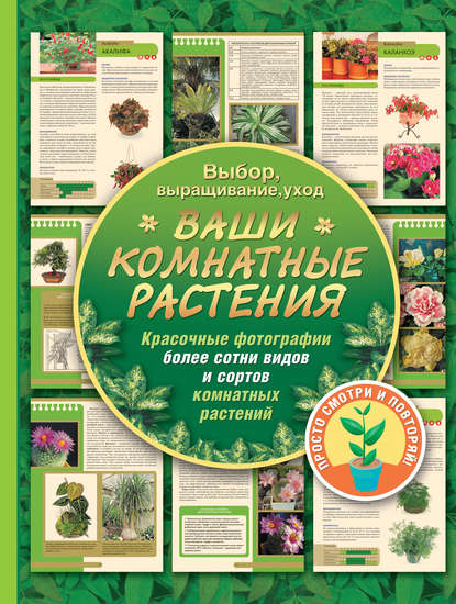 Книга Галина Попова, Галина Руслановна Попова Ваши комнатные растения