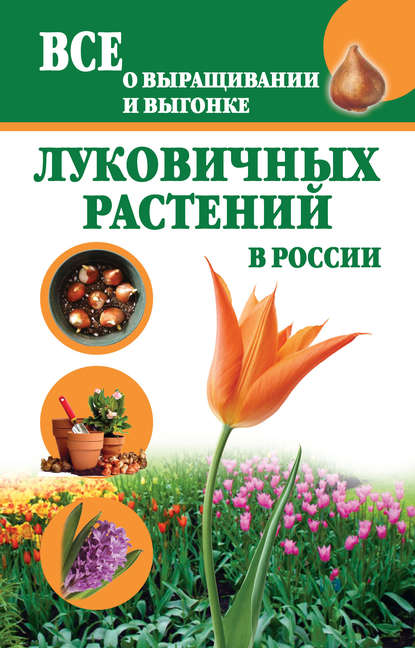 Книга Татьяна Литвинова, Татьяна Александровна Литвинова Все о выращивании и выгонке луковичных растений в России