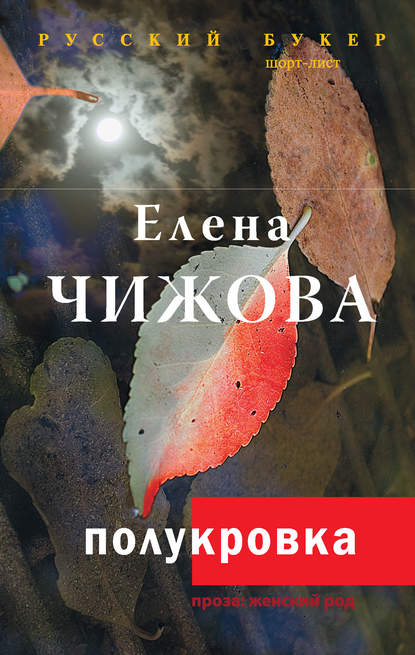 Книга Елена Семеновна Чижова, Елена Чижова Полукровка