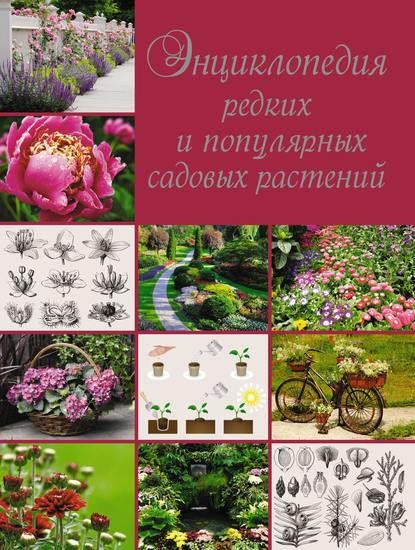 Книга О. В. Яковлева, Ольга Владимировна Яковлева Энциклопедия редких и популярных садовых растений