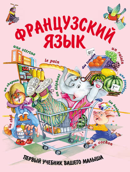 Книга Е. В. Агеева, Н. Новичихина, Евгения Владимировна Агеева Французский язык