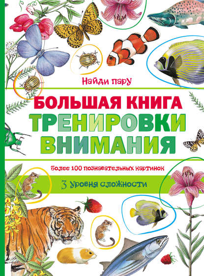 Книга Павел П. Кострикин Большая книга тренировки внимания