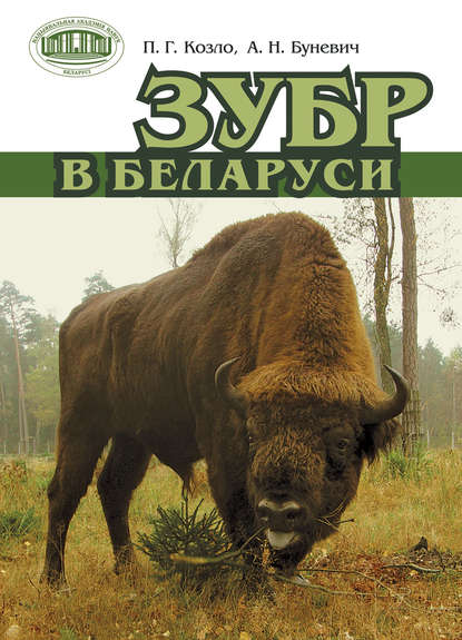 Книга П. Г. Козло, А. Н. Буневич, Виталий Павлович Семенченко Зубр в Беларуси