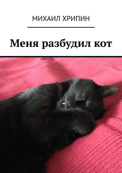 Книга Михаил Хрипин Меня разбудил кот