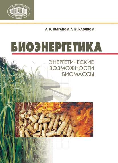 Книга А. Р. Цыганов, Александр Риммович Цыганов, Евгений Константинович Макаров Биоэнергетика. Энергетические возможности биомассы