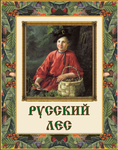 Книга В. В. Бутромеев, Владимир Петрович Бутромеев Русский лес. Грибы и ягоды