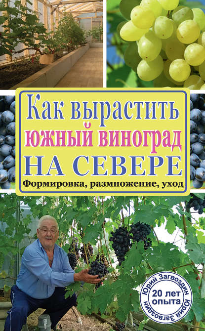 Книга Юрий Максимович Загвоздин, Юрий Загвоздин Как вырастить южный виноград на севере