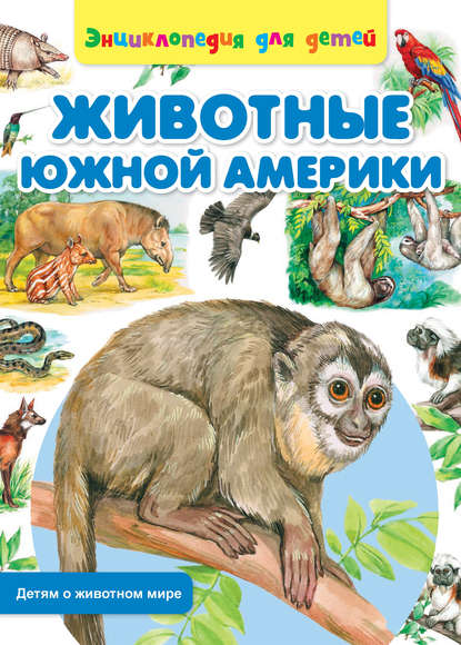 Книга Сергей Рублев, Ольга Пустовойт Животные Южной Америки
