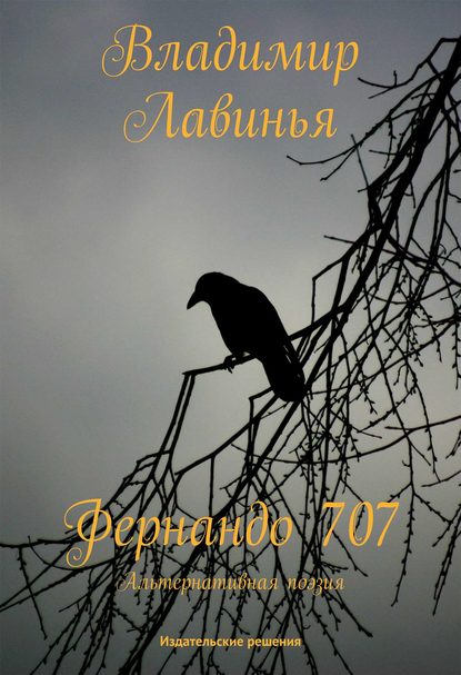Книга Владимир Лавинья Фернандо 707