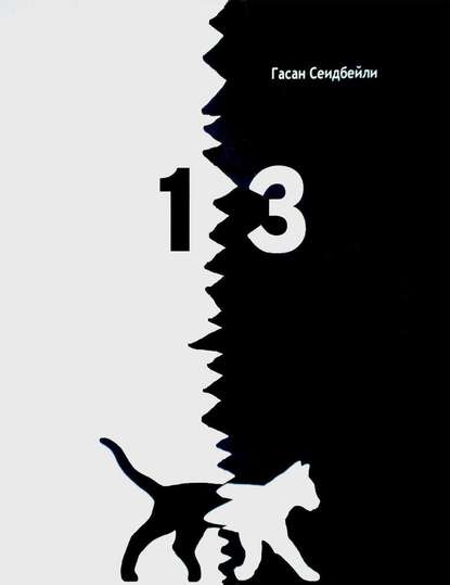 Книга Гасан Сеидбейли II 13 (сборник)