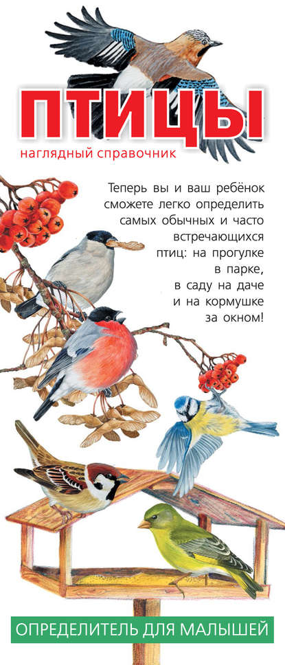 Книга Алексей Александрович Мосалов Птицы. Наглядный справочник. Определитель для малышей