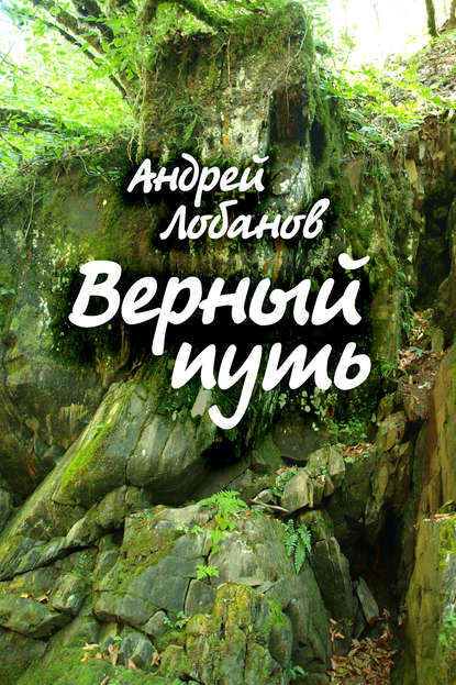 Книга Андрей Лобанов Верный путь
