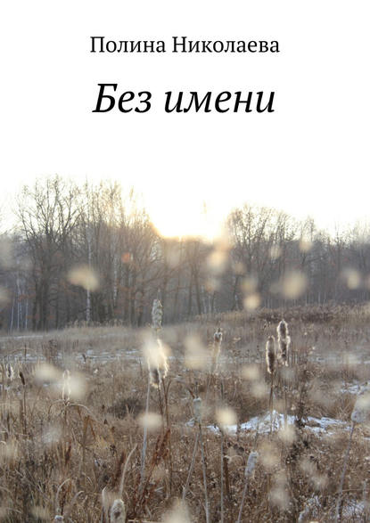 Книга Полина Николаева, Светлана Митрофанова Без имени