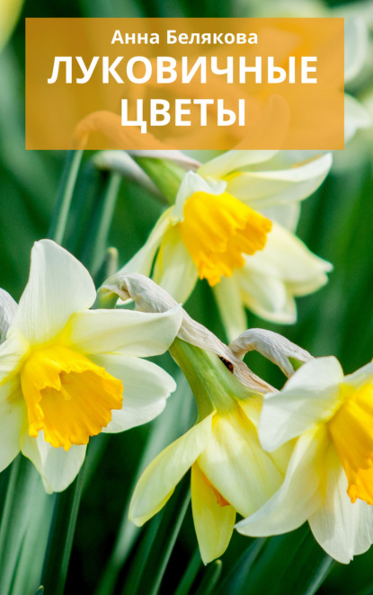 Книга Анна Владимировна Белякова, Анна Белякова Луковичные цветы