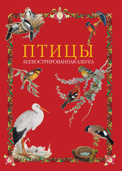 Книга Н. П. Рудакова Птицы. Иллюстрированная азбука