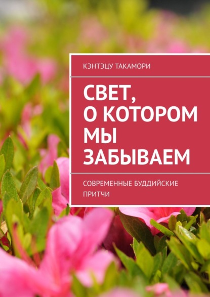 Книга Кэнтэцу Такамори Свет, о котором мы забываем. Современные буддийские притчи