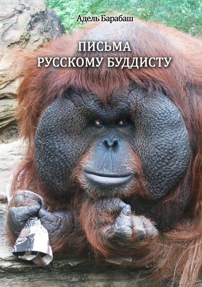 Книга Адель Барабаш Письма русскому буддисту