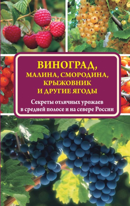 Книга Виктор Владимирович Жвакин, Виктор Жвакин Виноград, малина, смородина, крыжовник и другие ягоды