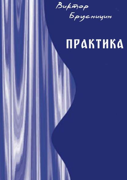 Книга Виктор Брусницин Практика