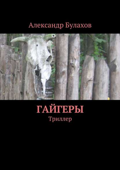 Книга Александр Булахов Гайгеры