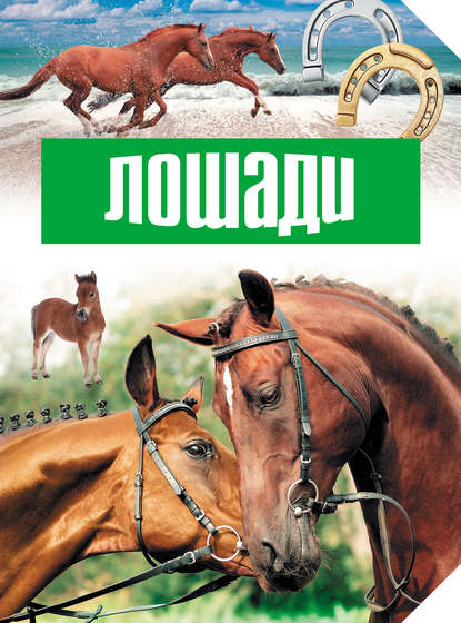 Книга Карина Константиновна Кищук, Галина Федоровна Онуфриенко Лошади