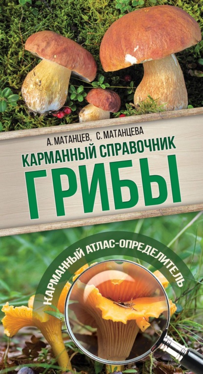 Книга Александр Николаевич Матанцев, Александр Матанцев, Светлана Григорьевна Матанцева Грибы. Карманный атлас-определитель