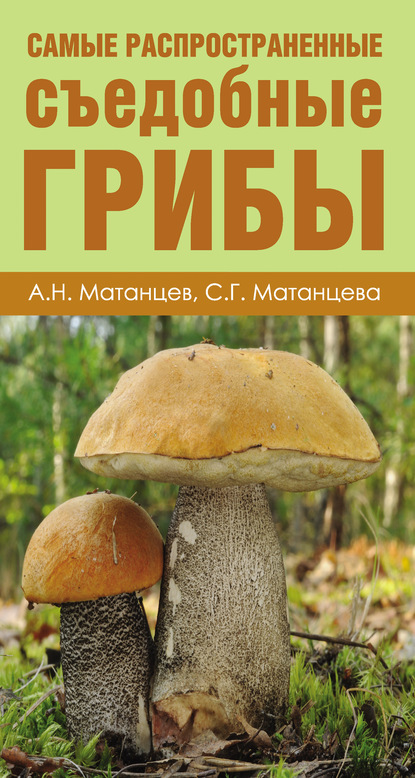 Книга Александр Николаевич Матанцев, Александр Матанцев, Светлана Григорьевна Матанцева Самые распространенные съедобные грибы