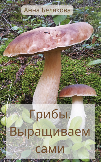 Книга Анна Владимировна Белякова, Анна Белякова Грибы. Выращиваем сами