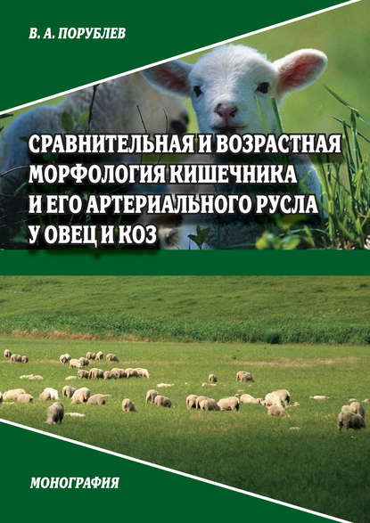 Книга В. А. Порублев Сравнительная и возрастная морфология кишечника и его артериального русла у овец и коз