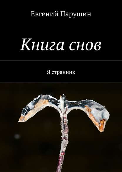 Книга Евгений Парушин Книга снов