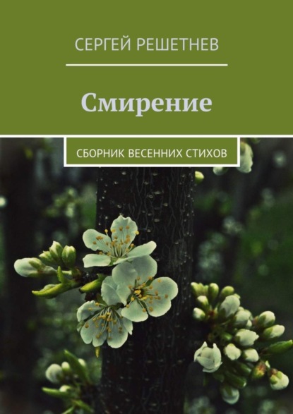 Книга Сергей Решетнев Смирение
